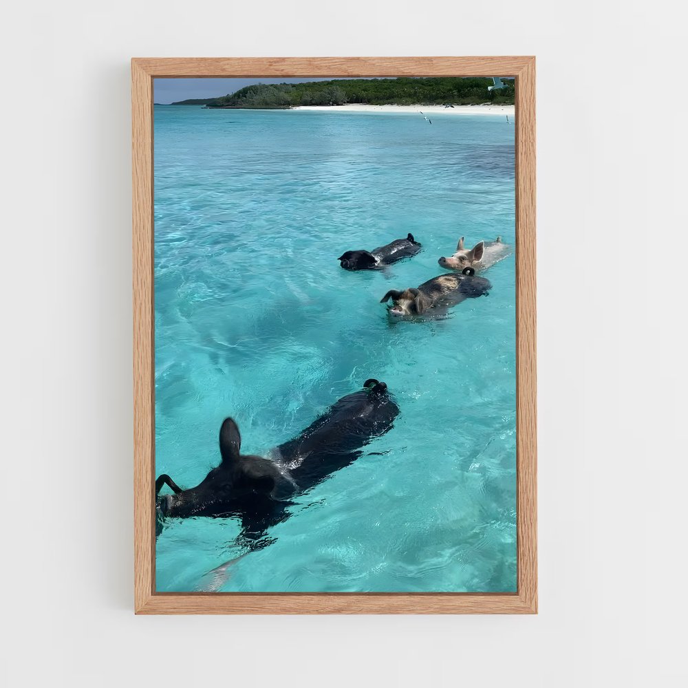 ap-swimming pigs beach-6 cadre Bois clair