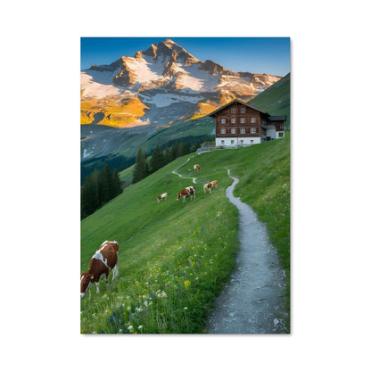 Poster Vaches des Dolomites