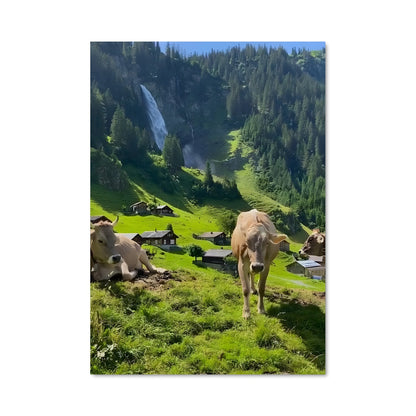 Poster Vaches Alpines
