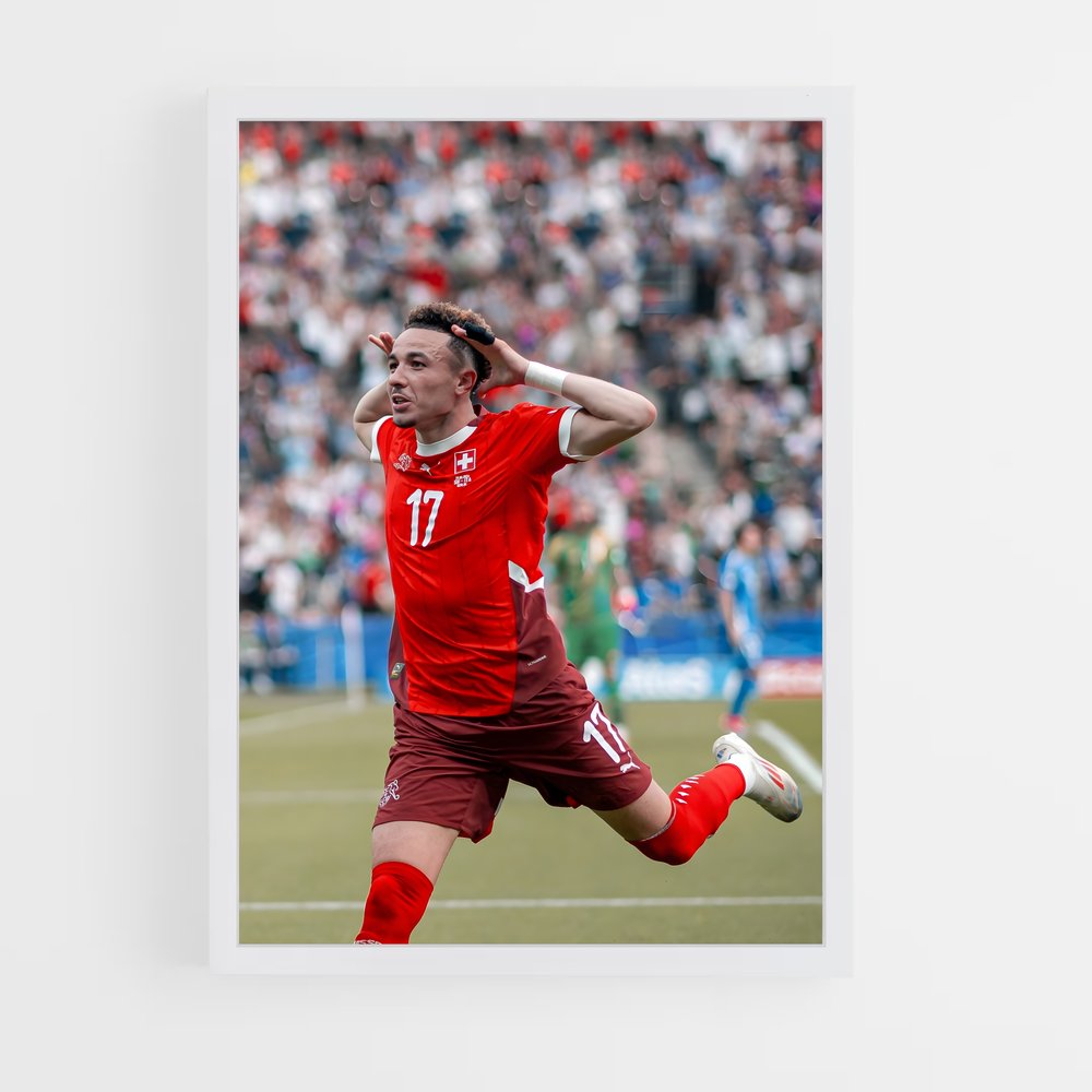 ap-switzerland national football team-4 cadre Blanc
