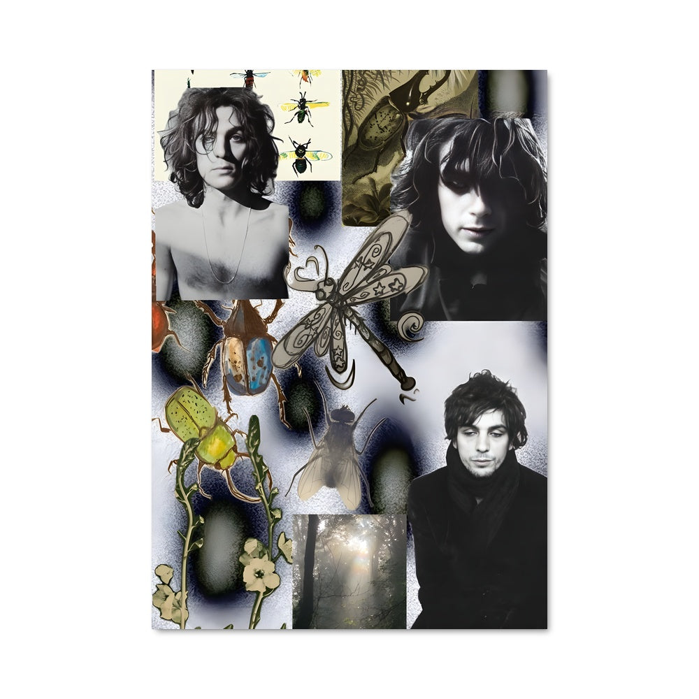 Poster Les Visages de Syd