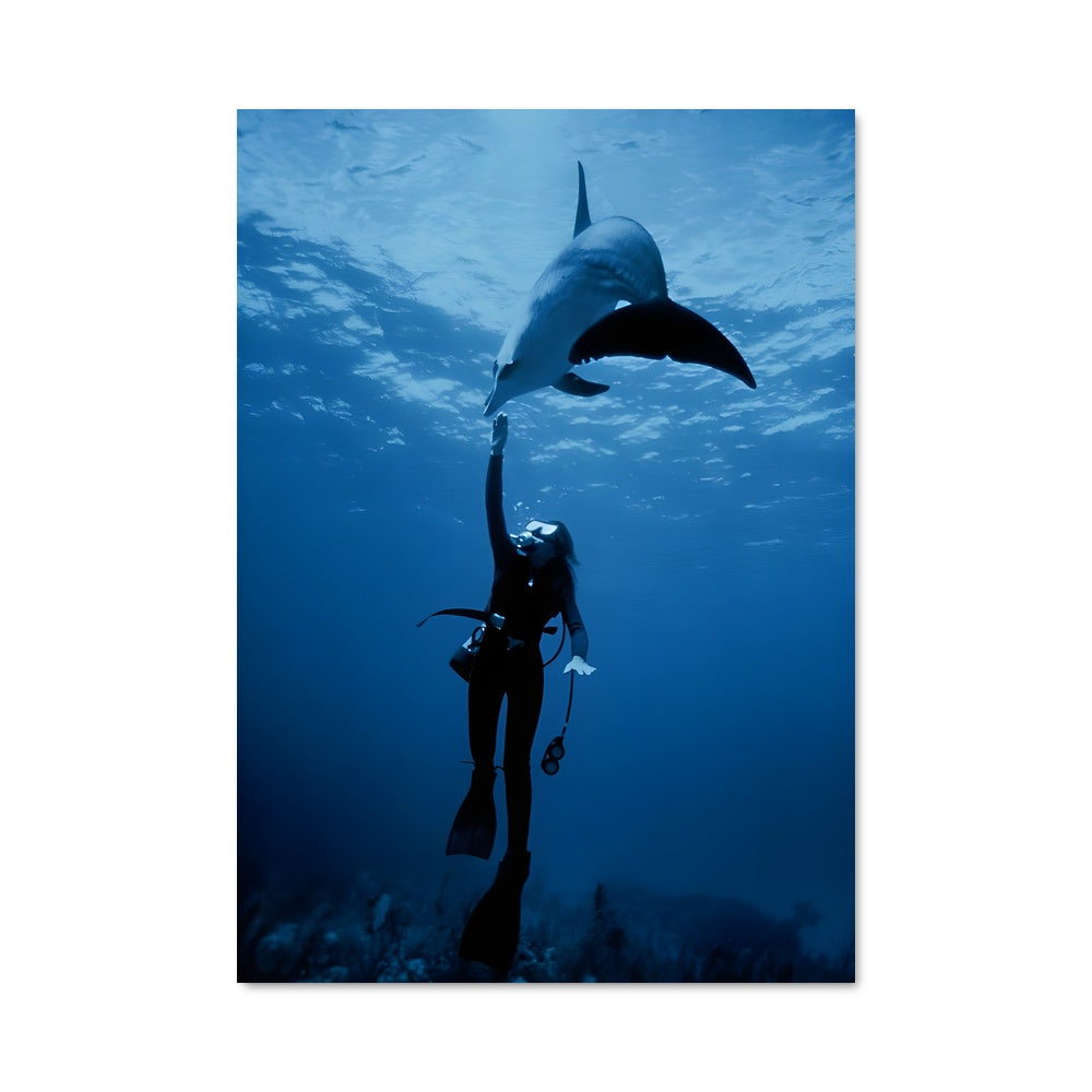 Poster Danse Avec les Dauphins
