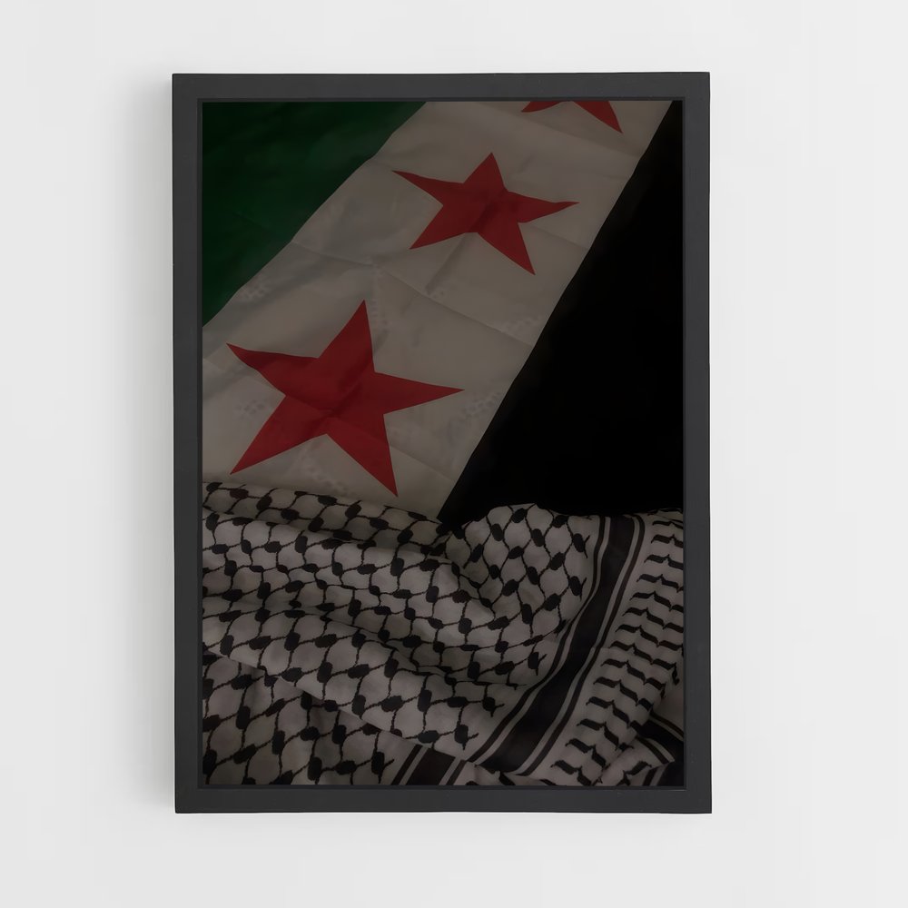 ap-syria flag-12 cadre Noir