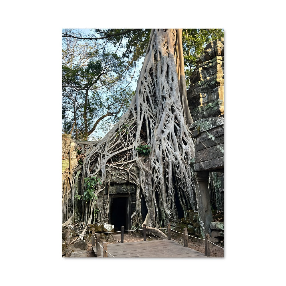 Poster La Prise de Ta Prohm