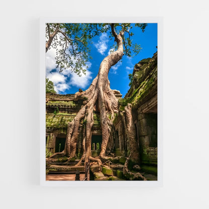 ap-ta prohm-1 cadre Blanc