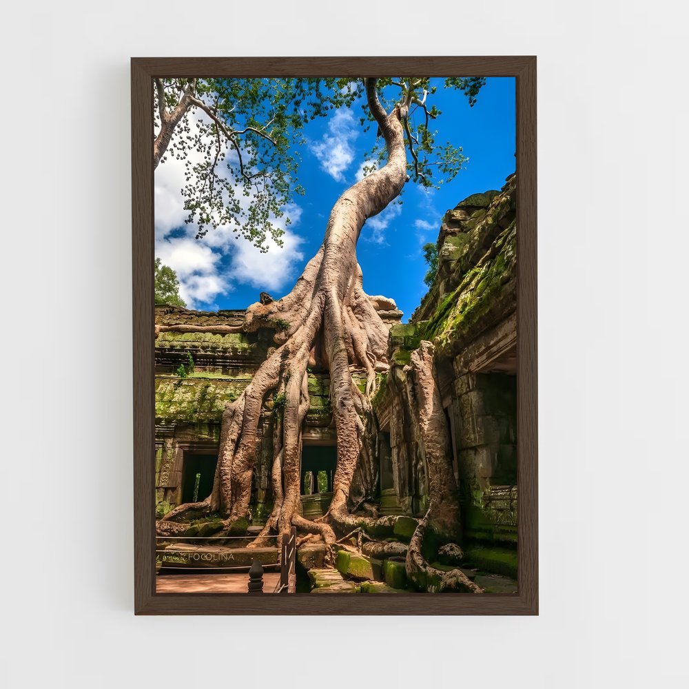 ap-ta prohm-1 cadre Bois foncé