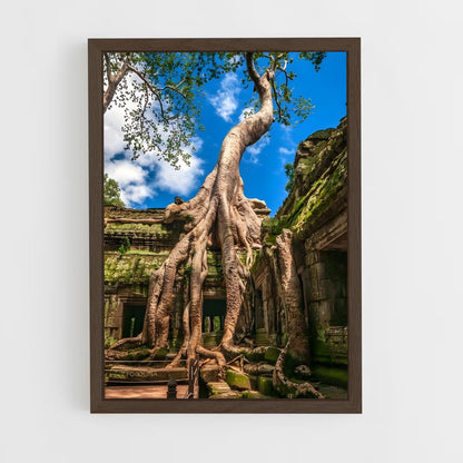 ap-ta prohm-1 cadre Bois foncé