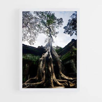 ap-ta prohm-3 cadre Blanc