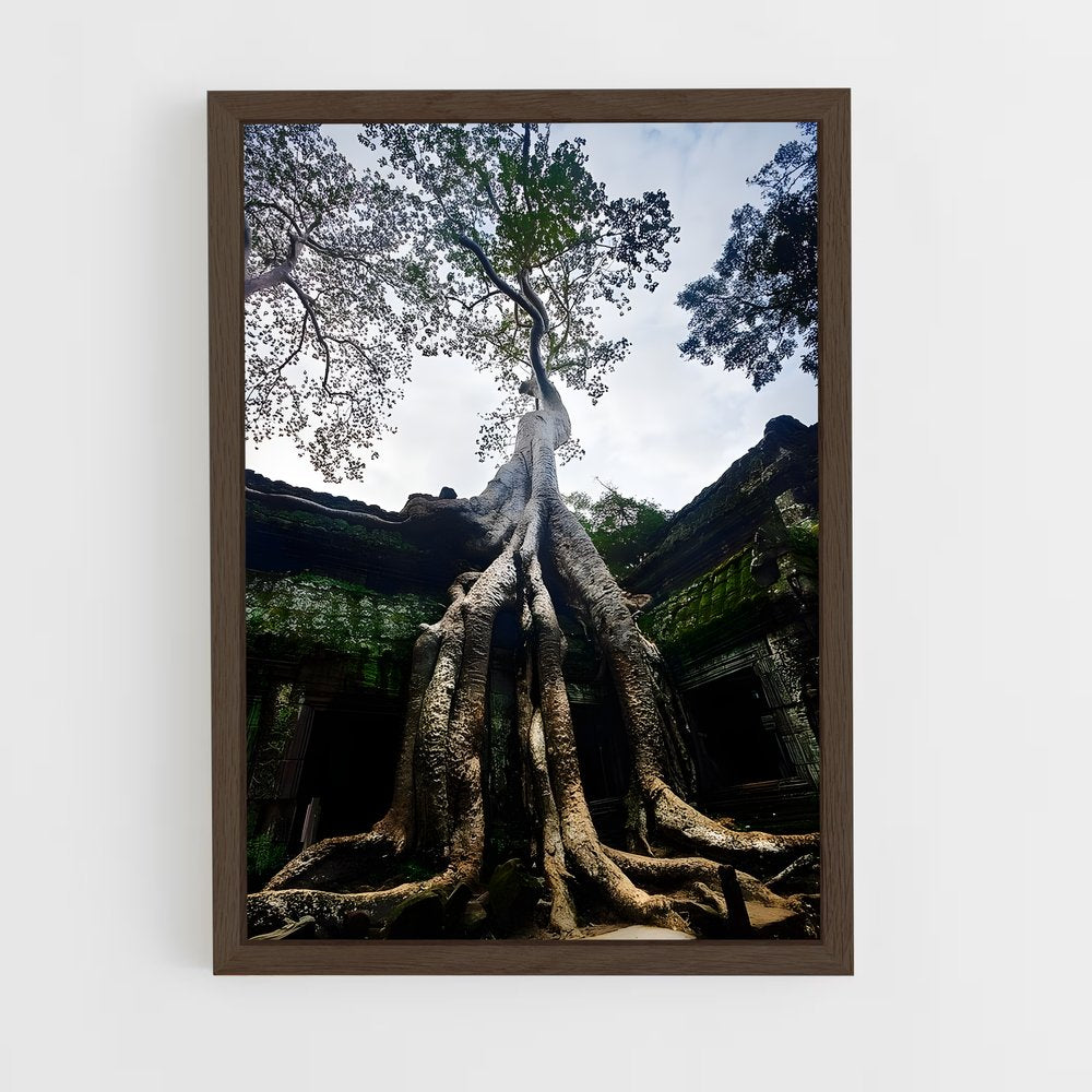 ap-ta prohm-3 cadre Bois foncé