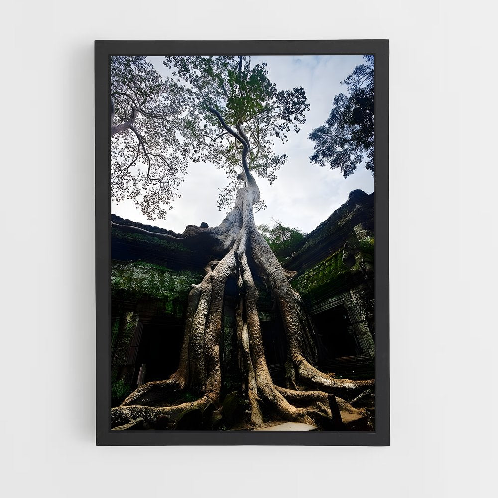 ap-ta prohm-3 cadre Noir