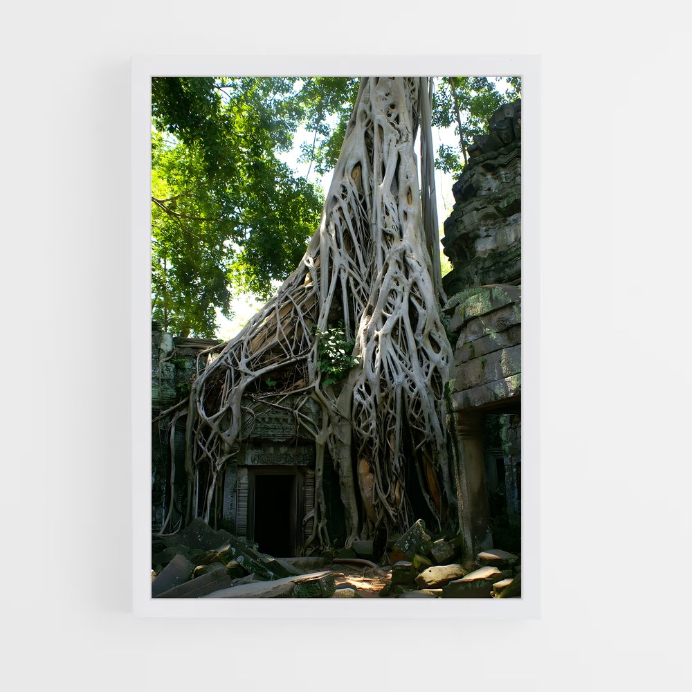 ap-ta prohm-4 cadre Blanc