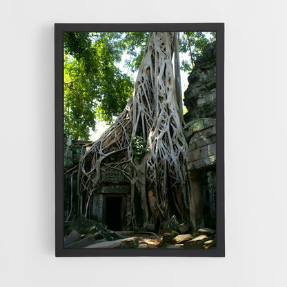 ap-ta prohm-4 cadre Noir