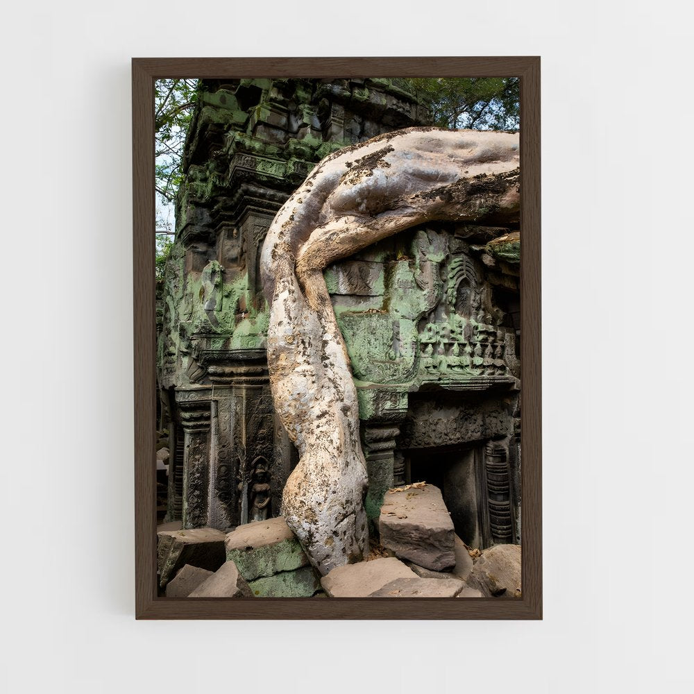 ap-ta prohm-5 cadre Bois foncé