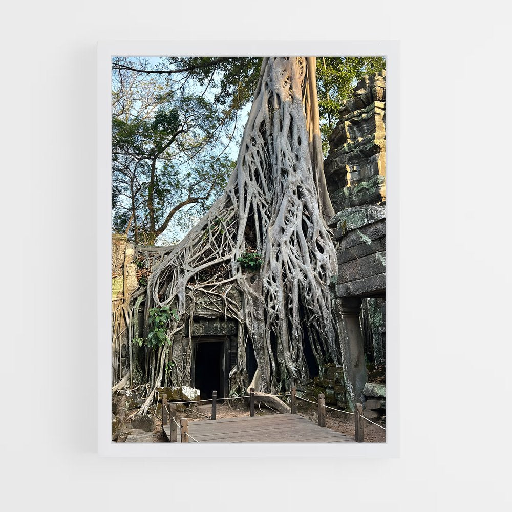 ap-ta prohm-6 cadre Blanc
