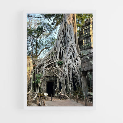 ap-ta prohm-6 cadre Blanc