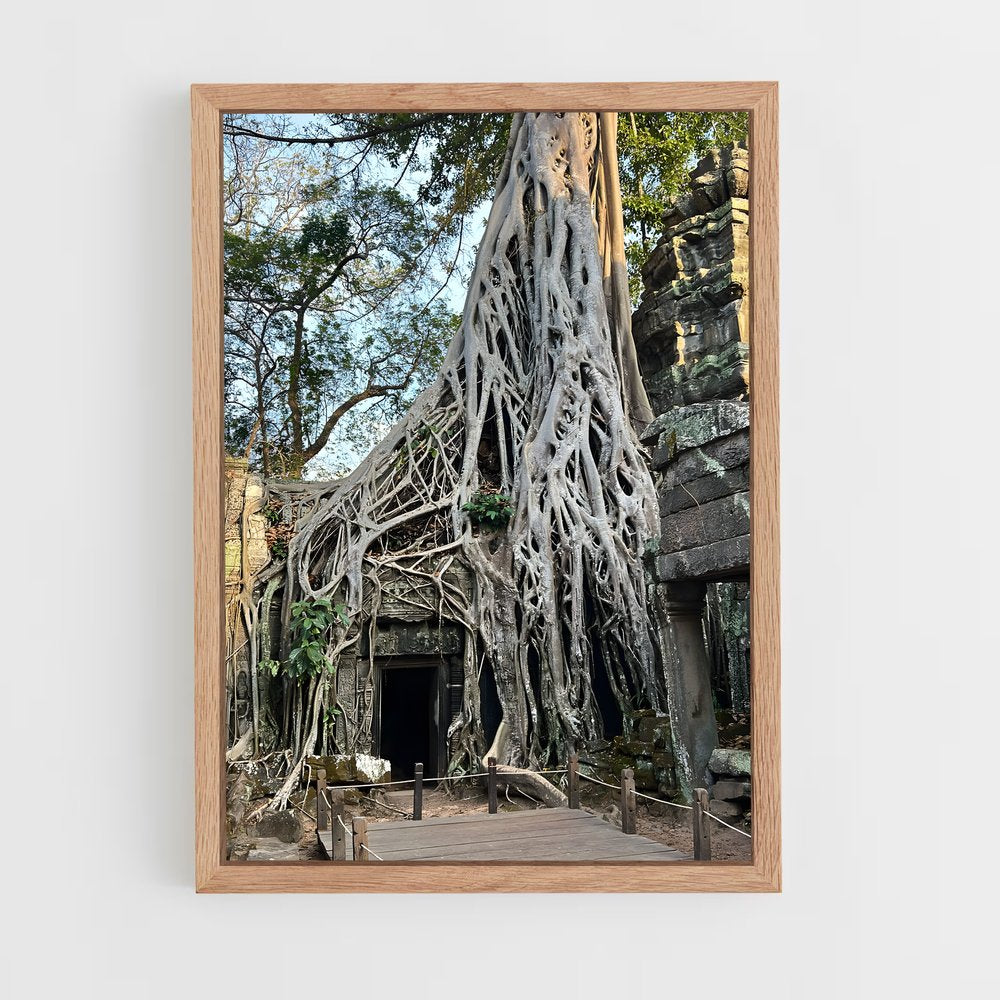 ap-ta prohm-6 cadre Bois clair