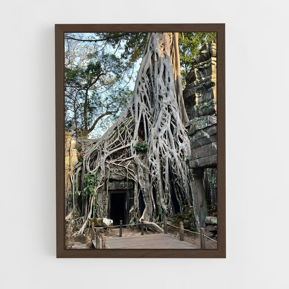ap-ta prohm-6 cadre Bois foncé