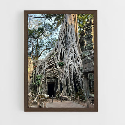 ap-ta prohm-6 cadre Bois foncé