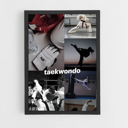 ap-taekwondo-4 cadre Noir