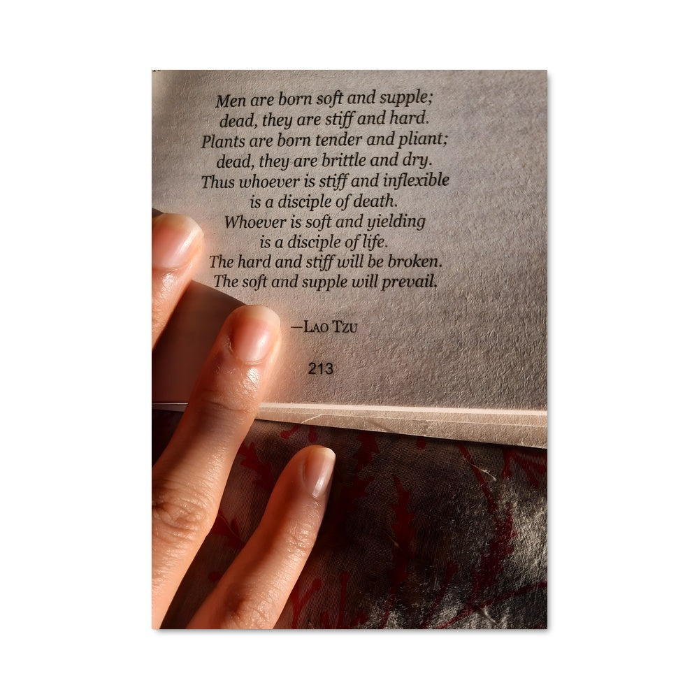 Poster Taoism 17038