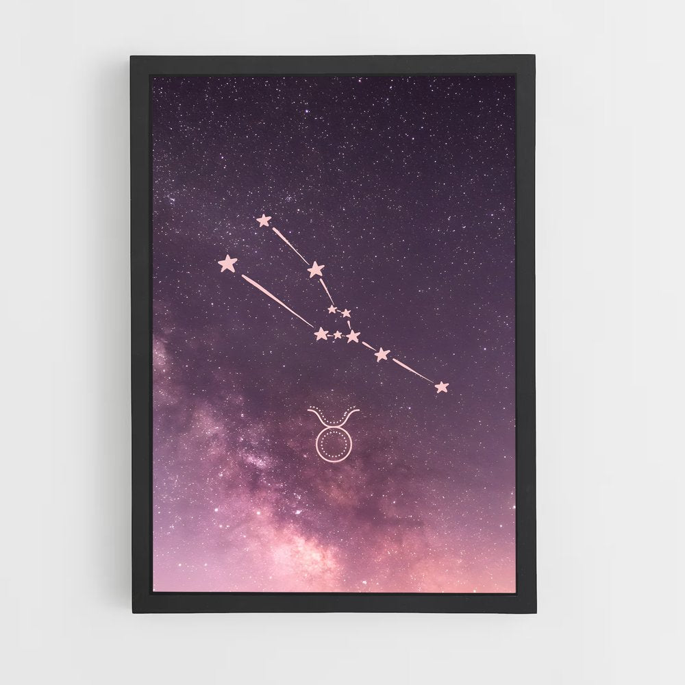 ap-taurus-3 cadre Noir
