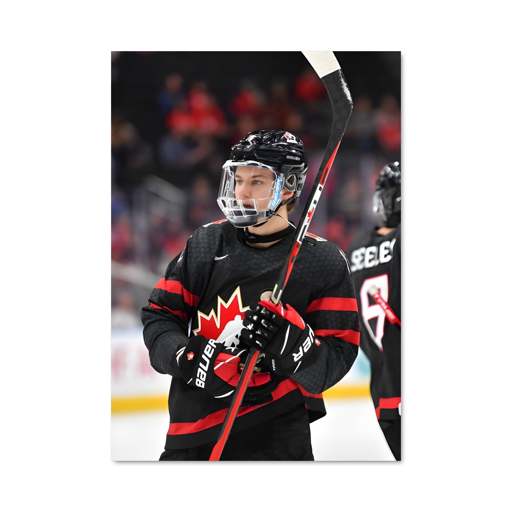 Poster Gardiens de Glace