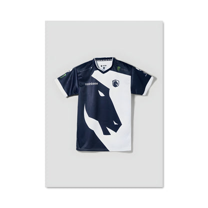 Poster Team liquid 41461