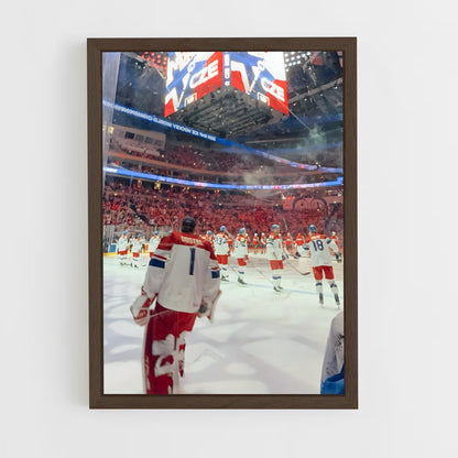 ap-team czech republic hockey-3 cadre Bois foncé