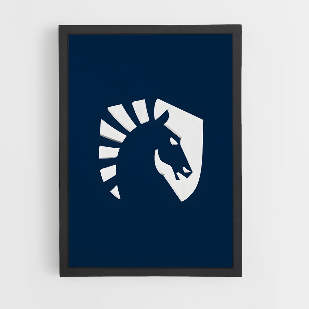ap-team liquid-2 cadre Noir