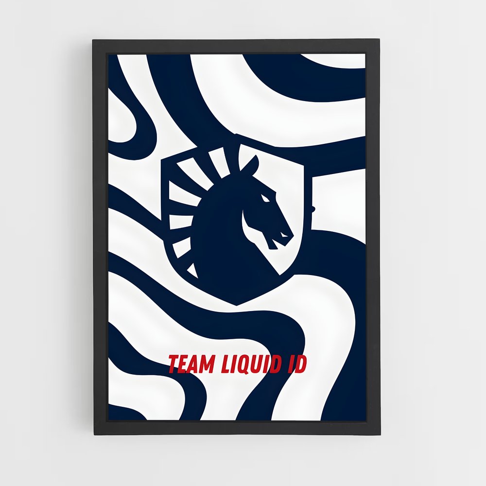 ap-team liquid-4 cadre Noir