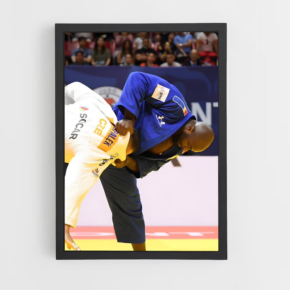 ap-teddy riner-2 cadre Noir