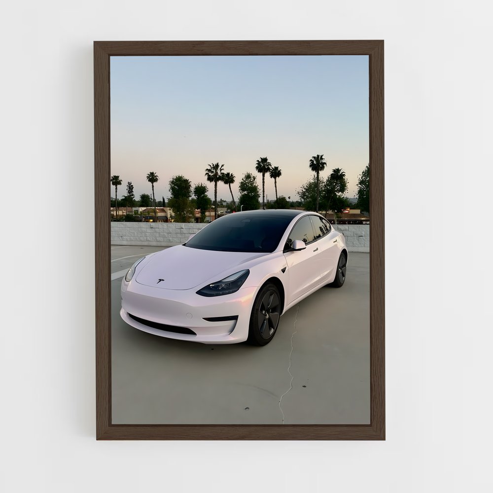 ap-tesla-1 cadre Bois foncé