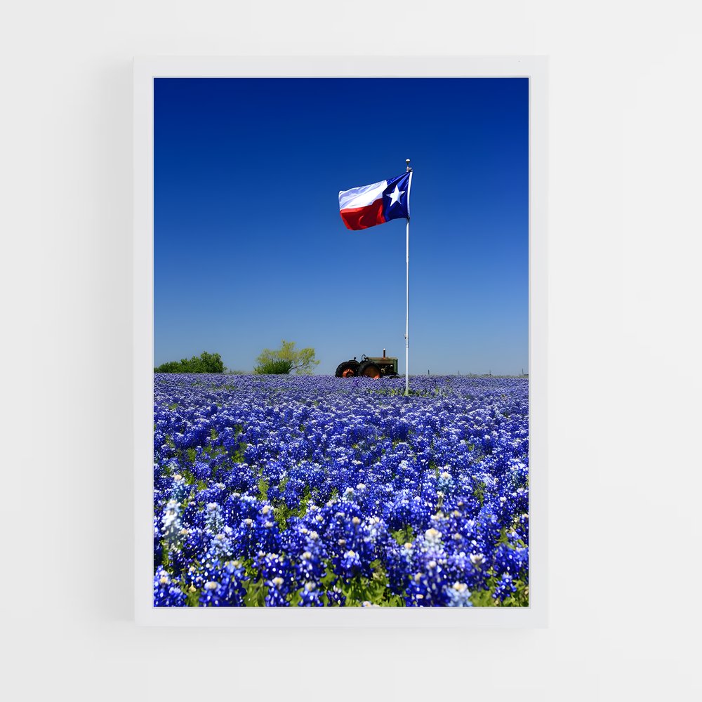 ap-texas flag-1 cadre Blanc