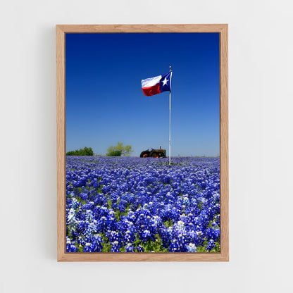 ap-texas flag-1 cadre Bois clair