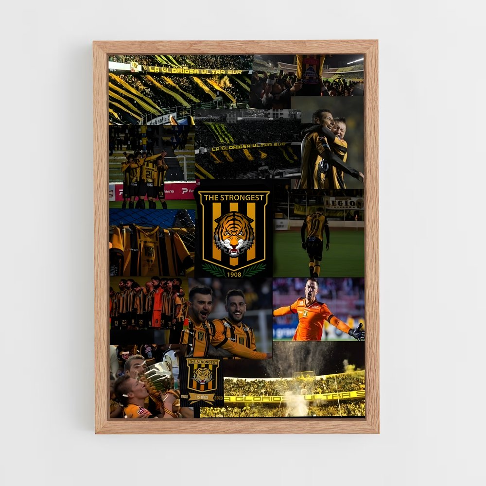 ap-the strongest bolivia football club-2 cadre Bois clair