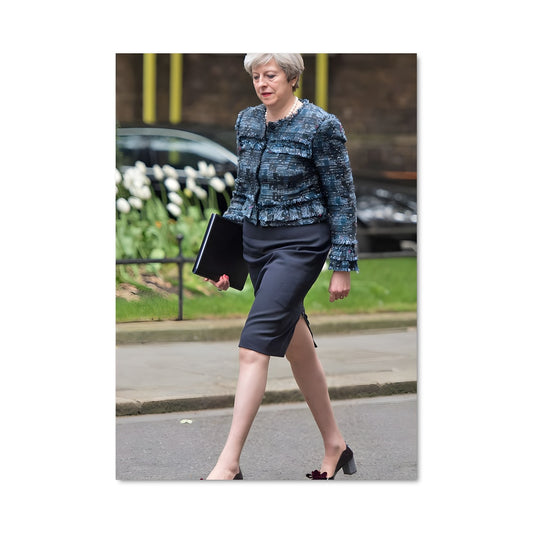 Poster Theresa may 14097