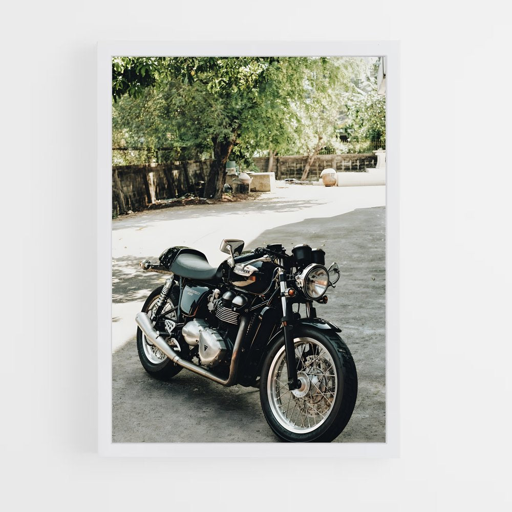 ap-thruxton-1 cadre Blanc