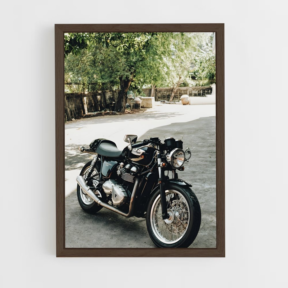 ap-thruxton-1 cadre Bois foncé