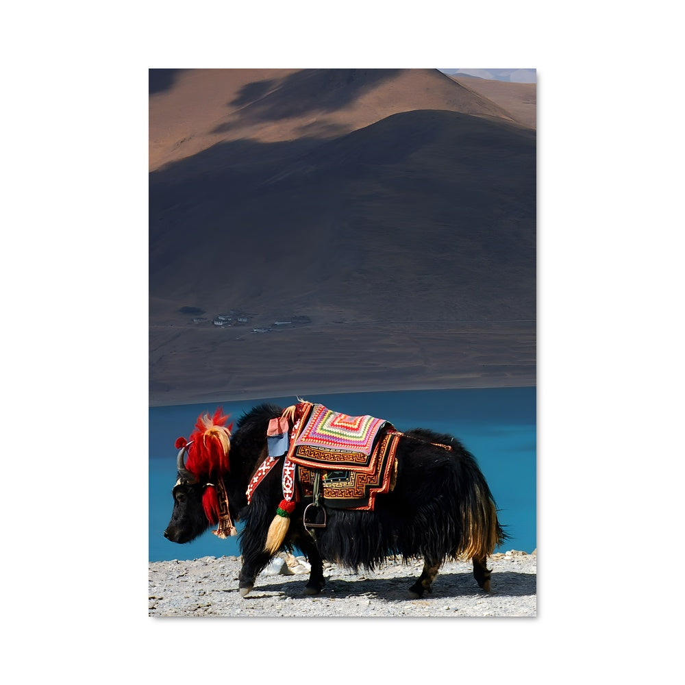 Poster Compagnon des Cimes