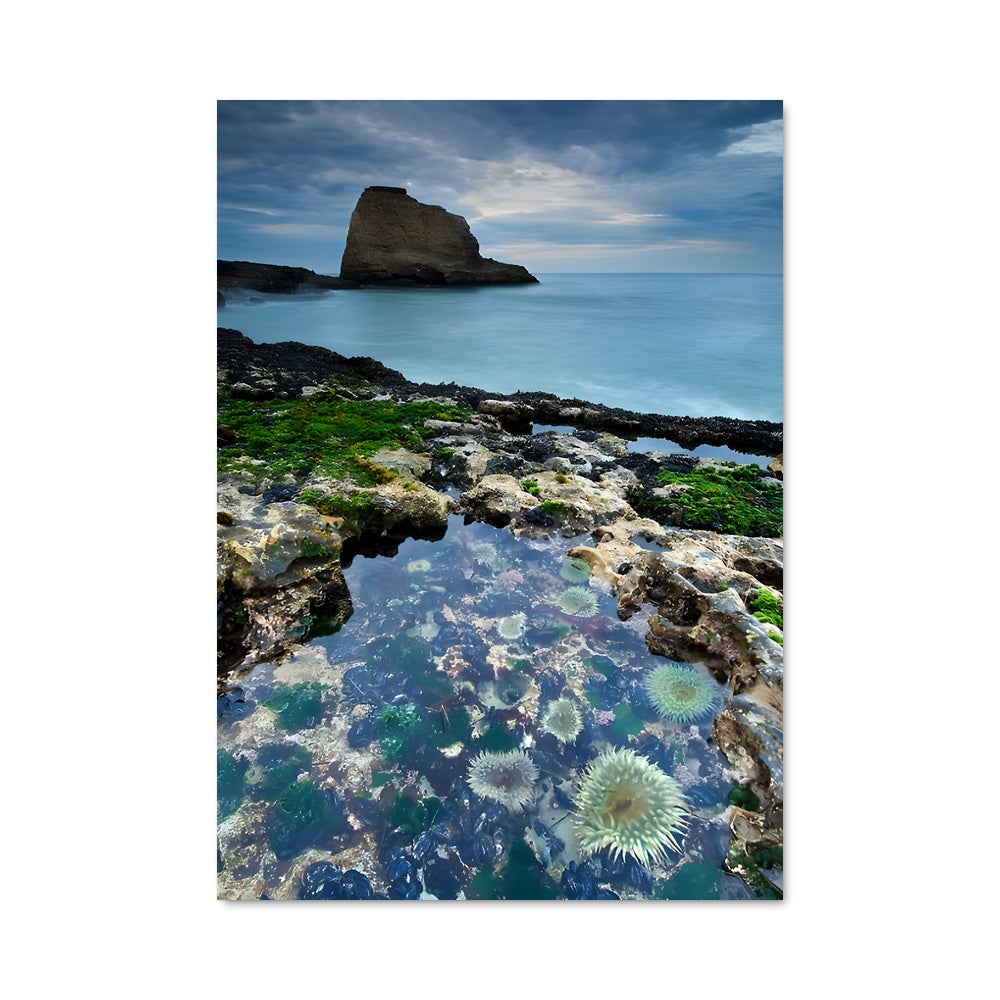 Poster Écume Marine