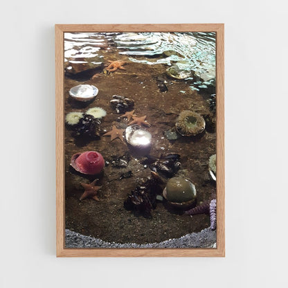 ap-tide pool-4 cadre Bois clair