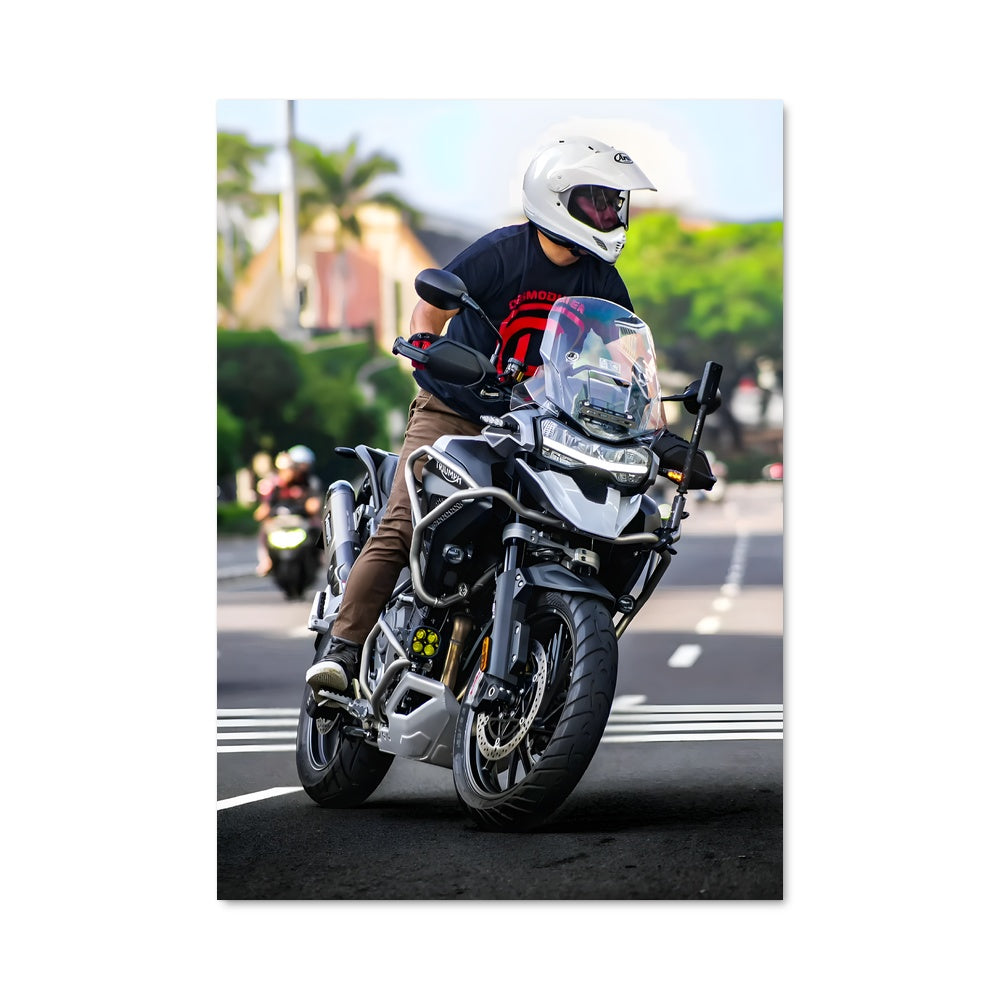 Poster Tiger 1200 82830