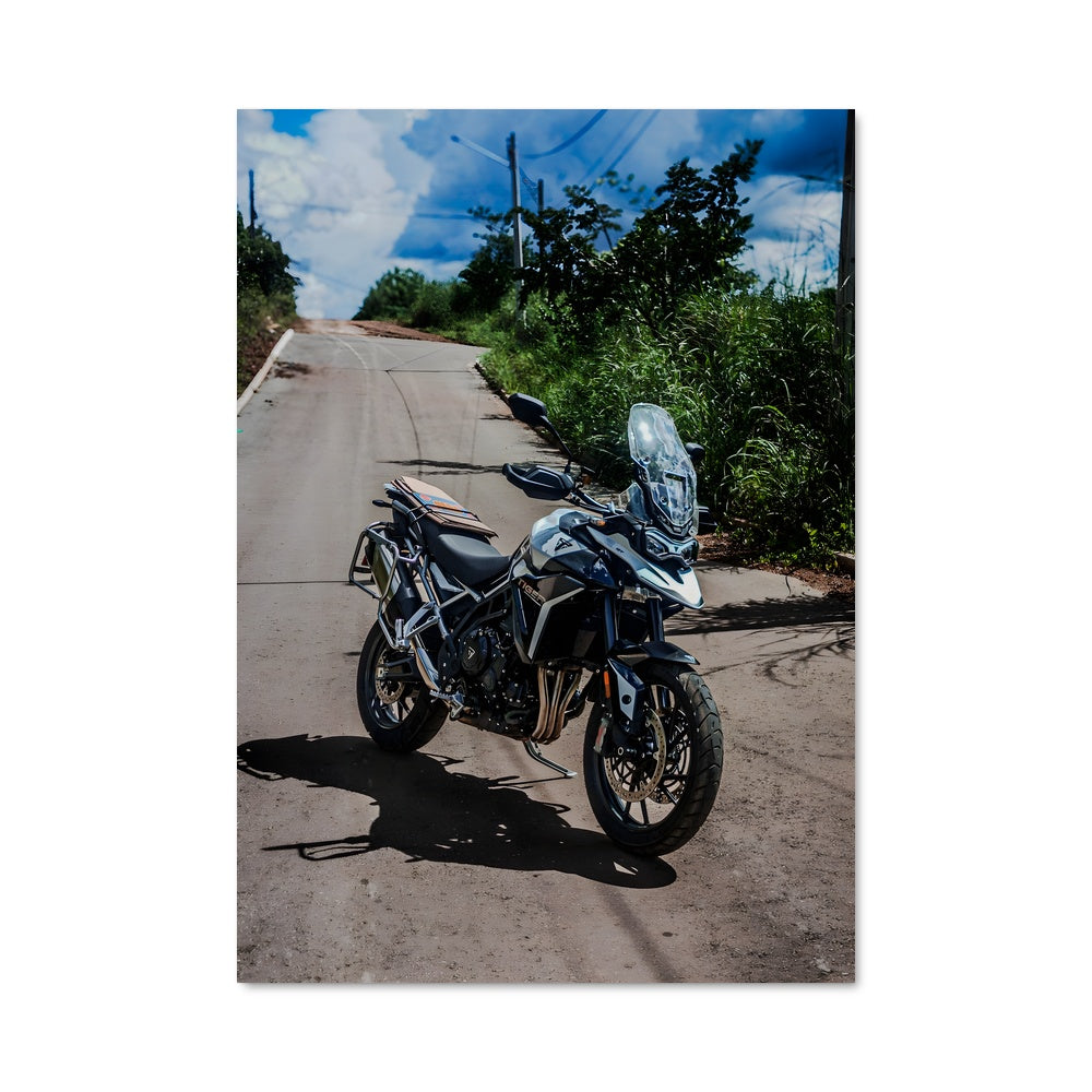 Poster Tiger 900 82847