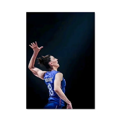 Poster Tijana boskovic 75039