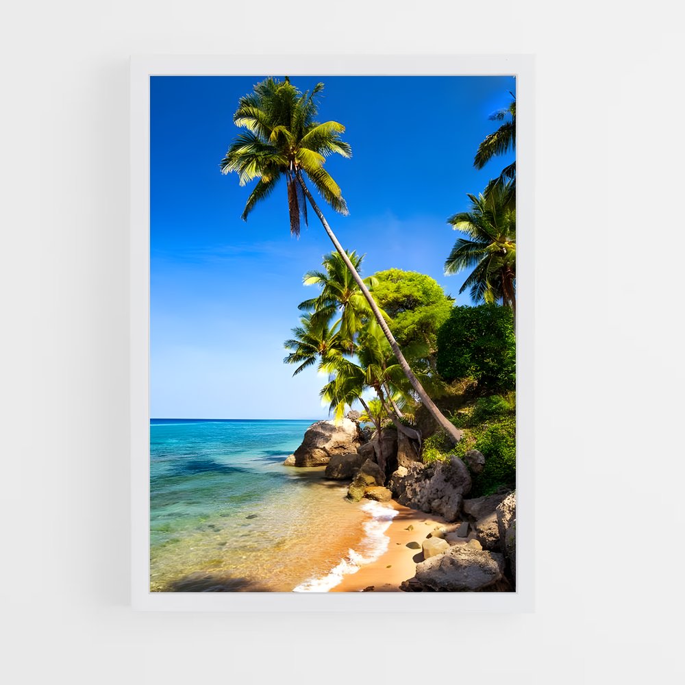 ap-timor leste-5 cadre Blanc