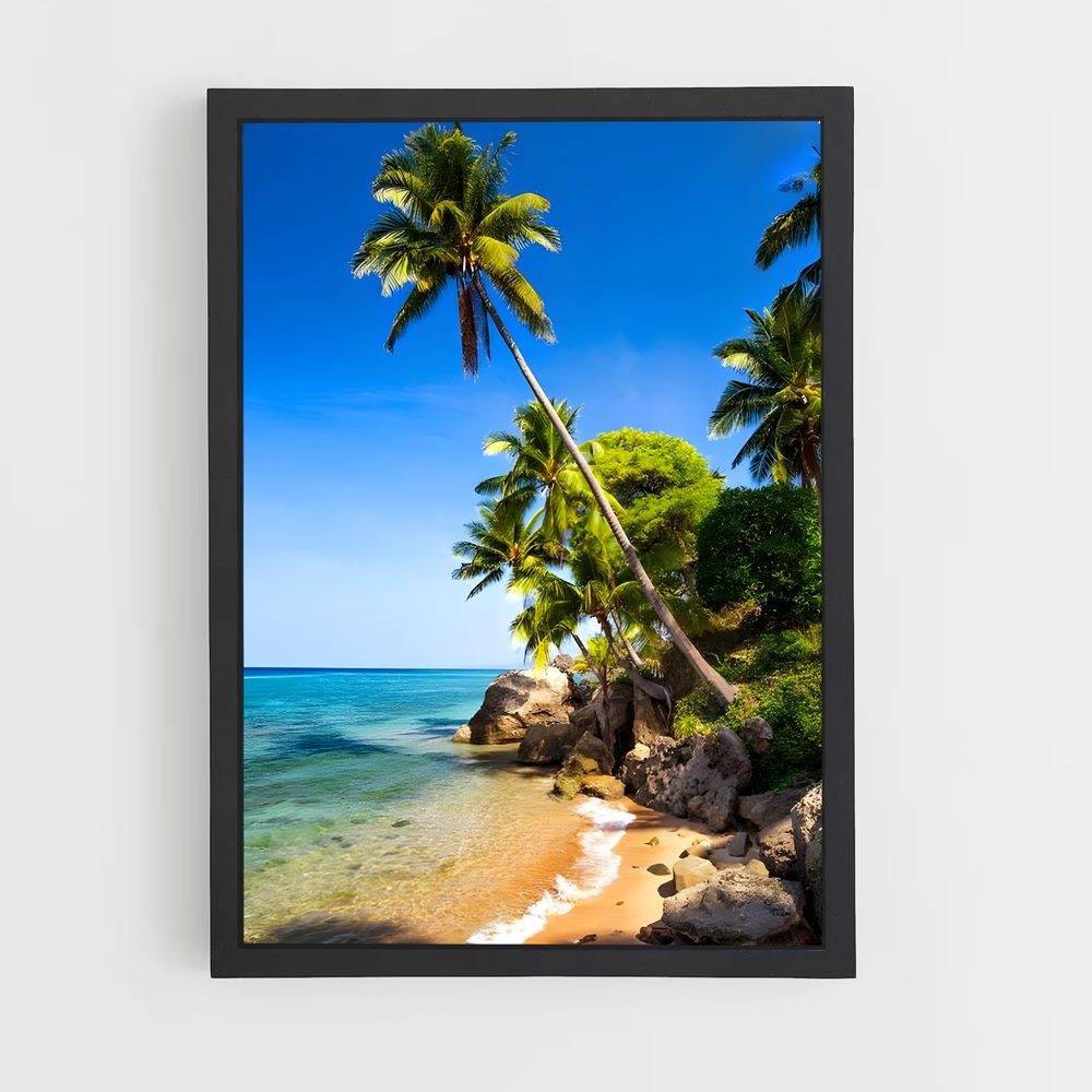 ap-timor leste-5 cadre Noir