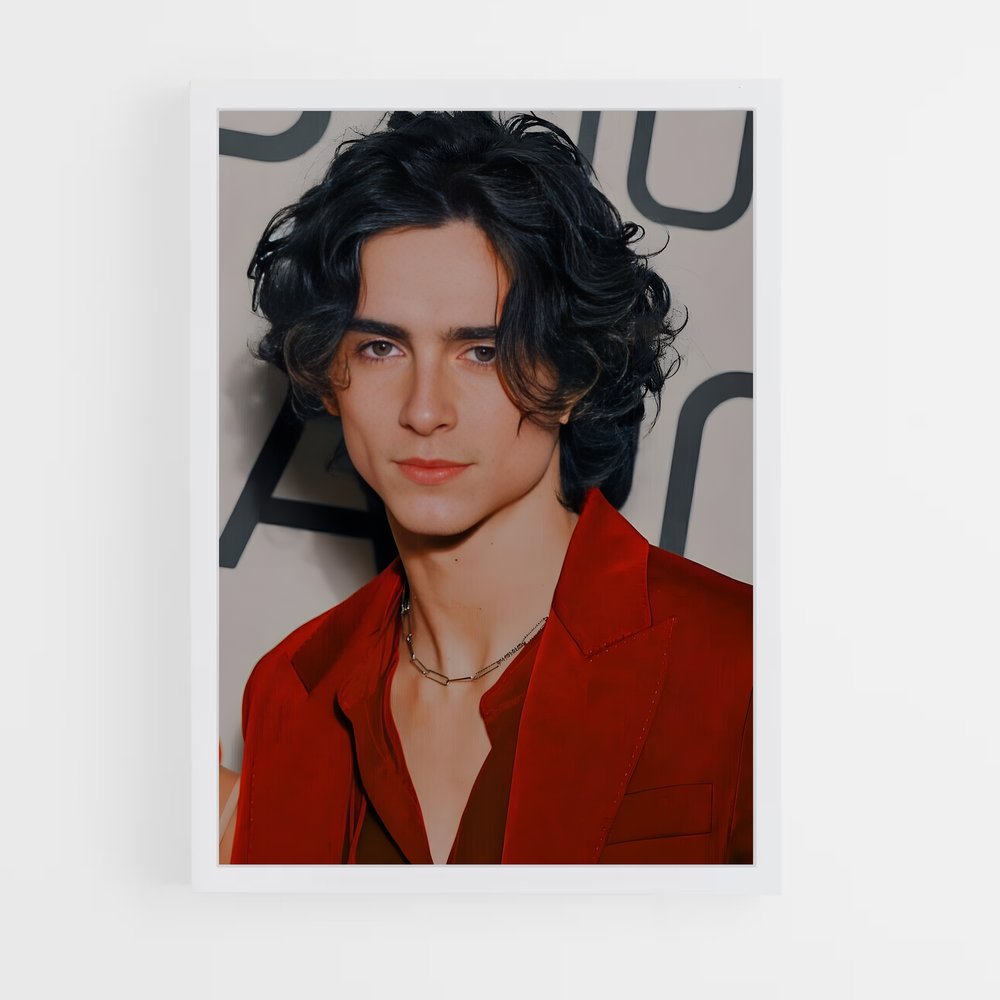 ap-timothee chalamet-9 cadre Blanc