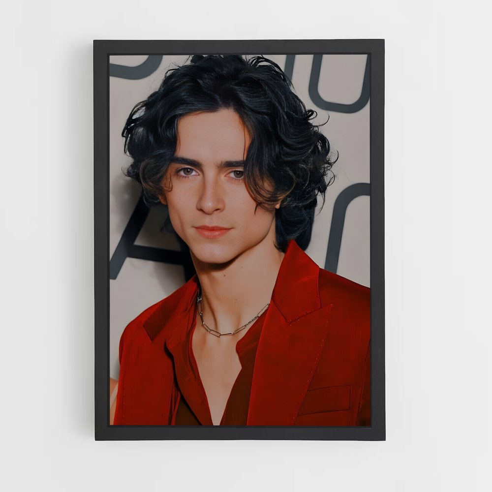 ap-timothee chalamet-9 cadre Noir