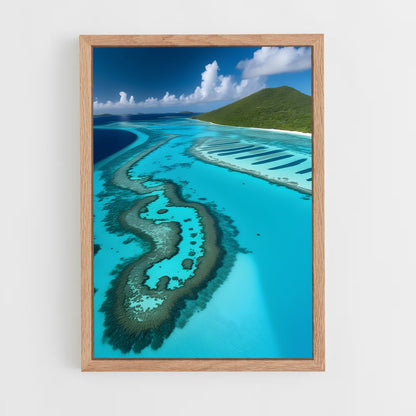 ap-tobago cays marine park-1 cadre Bois clair