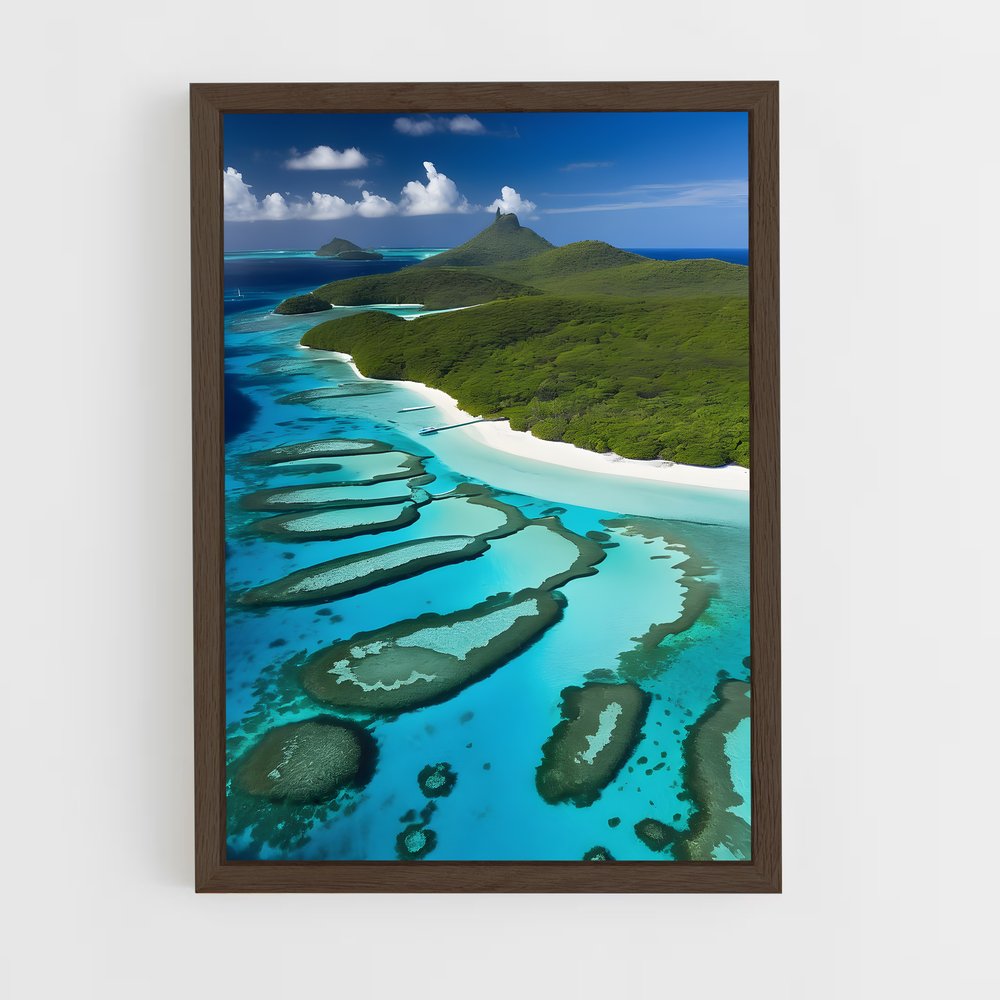ap-tobago cays marine park-3 cadre Bois foncé